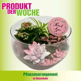 Blumen B&B Flugblatt Seite 4