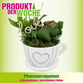 Blumen B&B Flugblatt Seite 5