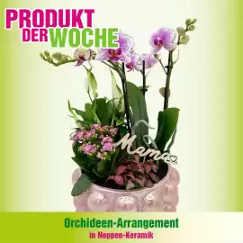 Blumen B&B Flugblatt Seite 6