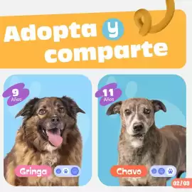 Catálogo Plaza Vea Página 3