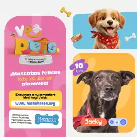 Catálogo Plaza Vea Página 4
