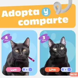 Catálogo Plaza Vea Página 7