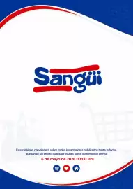 Folleto Sangüi Página 13