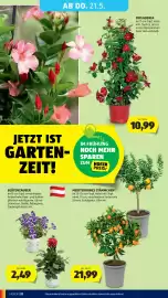 Hofer Flugblatt woche 20 Seite 38