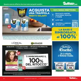 Volantino Supermercati Gulliver Pagina 38