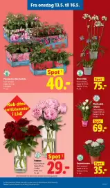 Lidl tilbudsavis Side 6