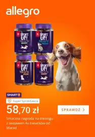 Allegro gazetka tydzień 20 Strona 4