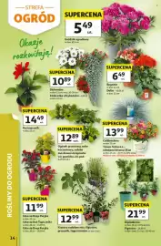 Auchan gazetka tydzień 20 Strona 14