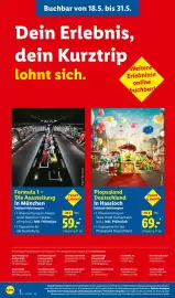 Lidl Reisen Prospekt Seite 2