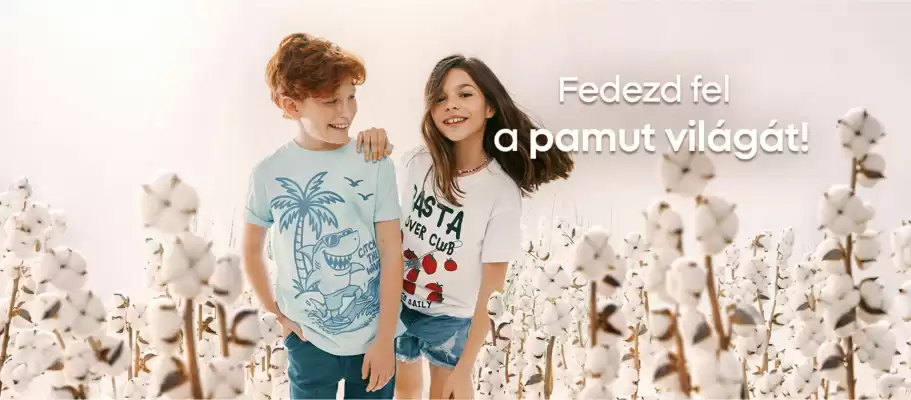 Pepco akciós újság (érvényes eddig: 18-05)