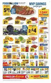 Food Lion weekly ad week 20 Page 1