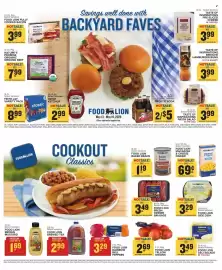 Food Lion weekly ad week 20 Page 9