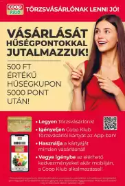Coop akciós újság | Szuper Plusz Oldal 10