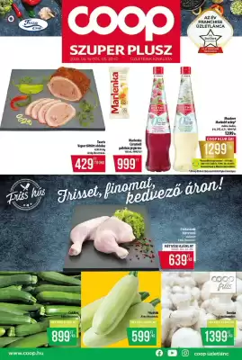 Coop akciós újság (érvényes eddig: 20-05)