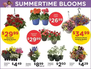 Fred Meyer weekly ad week 20 Page 13