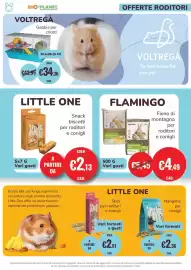 Volantino ZooPlanet Pagina 11
