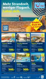 Lidl Reisen Prospekt Seite 15