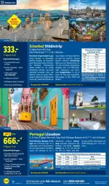 Lidl Flugblatt Seite 12