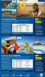 Lidl Flugblatt Seite 17