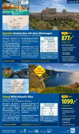Lidl Flugblatt Seite 19