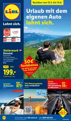 Lidl Flugblatt (gültig bis 15-06)