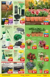 Netto Marken-Discount Prospekt woche 21 Seite 13