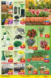 Netto Marken-Discount Prospekt woche 21 Seite 13