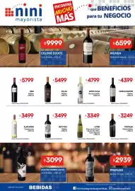 Catálogo Nini Mayorista semana 20 Página 18