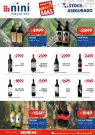 Catálogo Nini Mayorista semana 20 Página 19