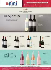Catálogo Nini Mayorista semana 20 Página 20