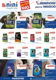 Catálogo Nini Mayorista semana 20 Página 44