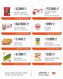Catálogo El Milagro Mayorista semana 20 Página 12