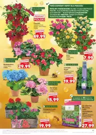 Kaufland gazetka tydzień 20 Strona 45