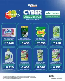 Catálogo Surtifamiliar Página 11