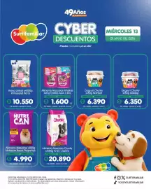 Catálogo Surtifamiliar Página 13