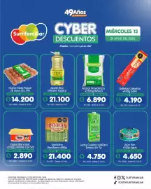 Catálogo Surtifamiliar Página 2
