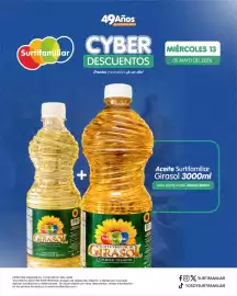 Catálogo Surtifamiliar Página 5