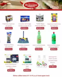 Catálogo Supermercados Romanini Página 5