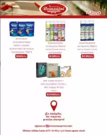 Catálogo Supermercados Romanini Página 6