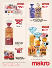 Catálogo Makro semana 19 Página 9