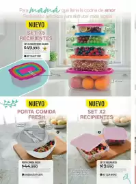 Catálogo Croydon Página 238