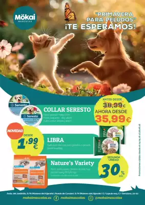 Folleto Supermercados MAS (válido hasta el 28-06)