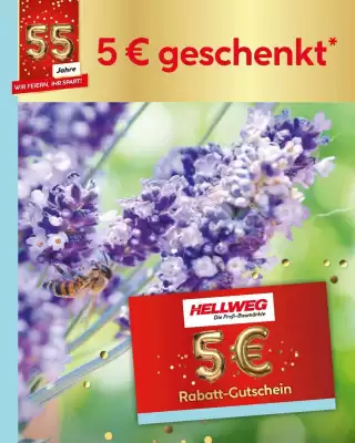 Hellweg Prospekt (gültig bis 17-05)