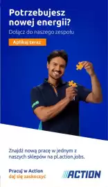 Action gazetka tydzień 20 Strona 19