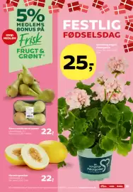 SuperBrugsen tilbudsavis uge 20 Side 19