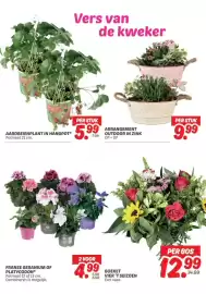Dekamarkt folder Pagina 6