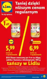 Lidl gazetka Strona 23