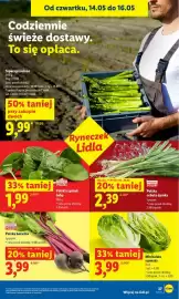 Lidl gazetka Strona 37