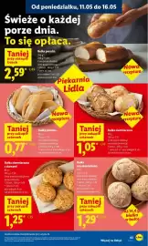 Lidl gazetka Strona 45