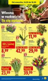 Lidl gazetka Strona 87